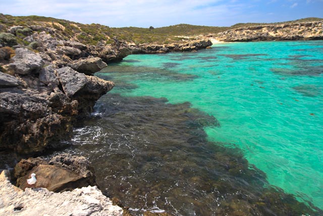La Seine, à Paris, un jour de pluie