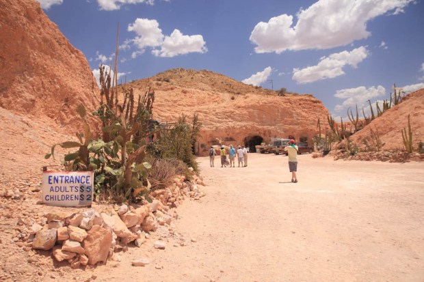 Crocodile Harry dug out